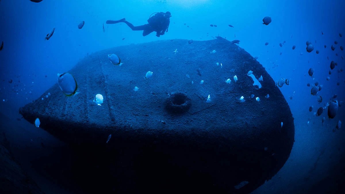 Diving in St Helena